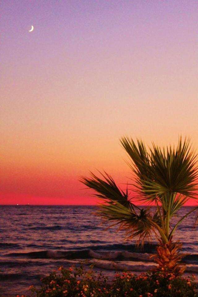 Ladies Beach Hotel Kuşadası Ngoại thất bức ảnh